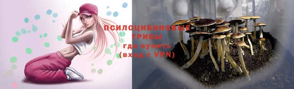 каннабис Алексин