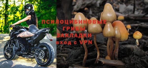 спиды Алексеевка